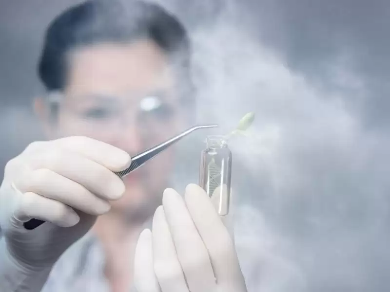 mide-kucultme-ameliyati-sonrasi-geri-kilo-alma-riskini-artiran-gizli-tehlike-pfas