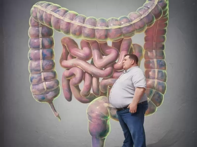 obezite-ve-bagirsak-bakterileri-mikrobiyata